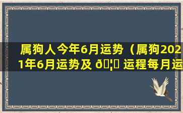 属狗人今年6月运势（属狗2021年6月运势及 🦉 运程每月运程）